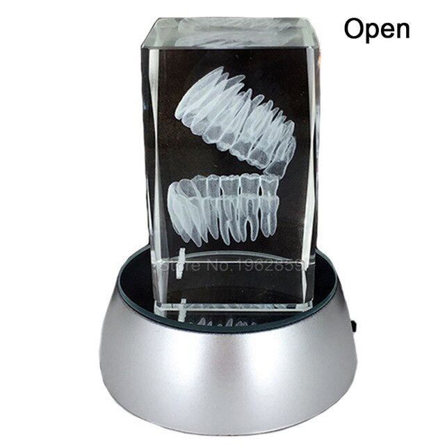 Dental 3D Tooth Model Clear Crystal Stand With LED Lamp