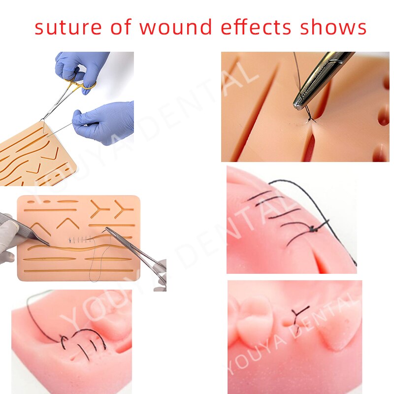 Dental Suture Kit Medical Skin Suture Surgical Training Kit ,Dental Teaching Model