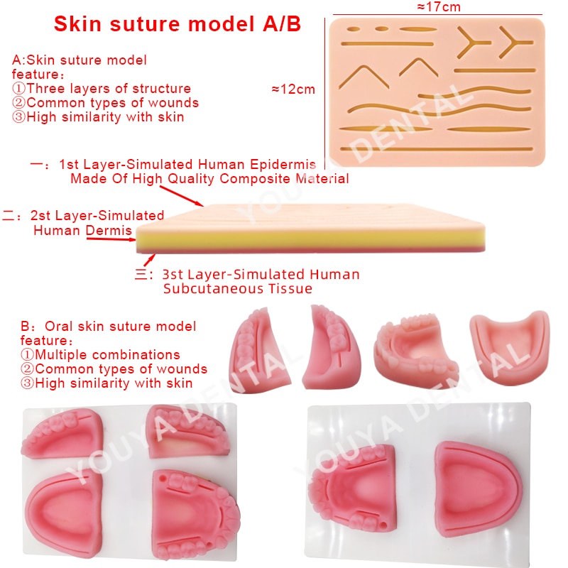 Dental Suture Kit Medical Skin Suture Surgical Training Kit ,Dental Teaching Model
